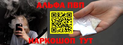 стафф Кингисепп