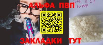 стафф Кингисепп