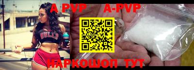 стафф Кингисепп