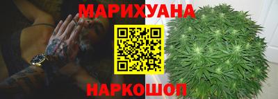 стафф Кингисепп