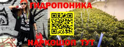 дурь Кимры