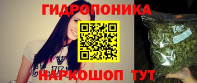дурь Кимры