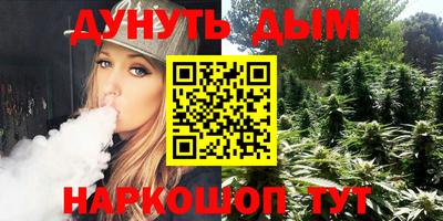 стафф Кингисепп