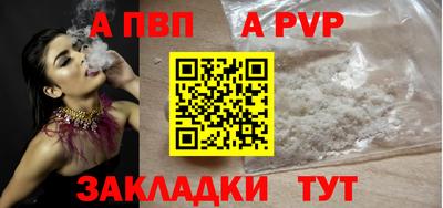 стафф Кингисепп
