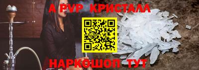 стафф Кингисепп