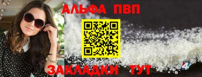 стафф Кингисепп