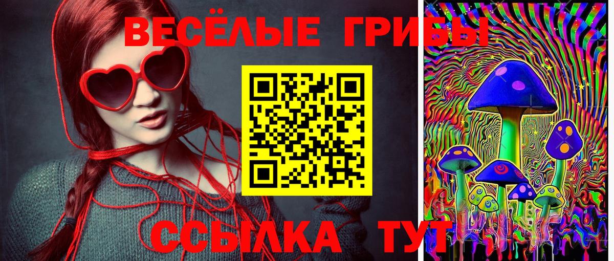 Галлюциногенные грибы мицелий  Псилоцибиновые грибы Psilocybe  Димитровград  Вход с VPN 